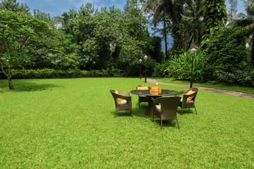 Sea Breeze - Image 5
