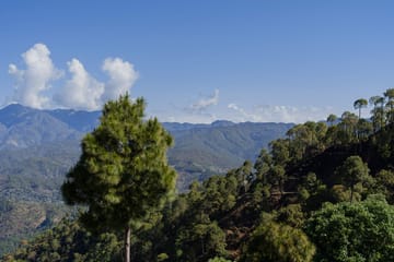 Suvas Villa - Image 5