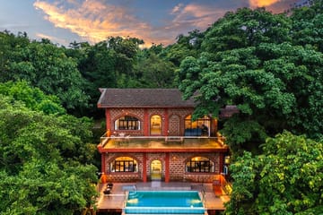 The Nest - Salvador Do Mundo - Image 2