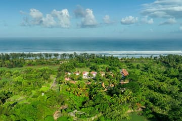 Tarika’s Olive Villa - Image 2