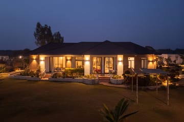 Treeansh - Image 5