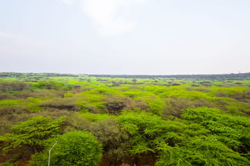 Eternal Oasis Aravali View Suite | Serene 1-Room Retreat With Restaurant, Balcony & Banquet Hall - Image 4