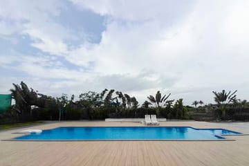 Silver Grove - Image 4