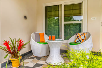 Jungle Jade - Image 4