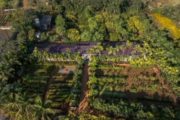 Green Heritage Villa - Image 2