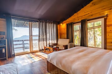The Barbet - Treehouse - Image 2