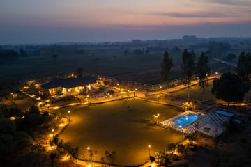 Treeansh - Image 2