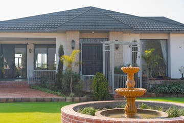 Treeansh - Image 4