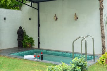 House of Palm - Image 2