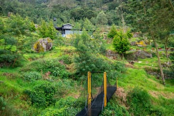 The Berg - Image 3