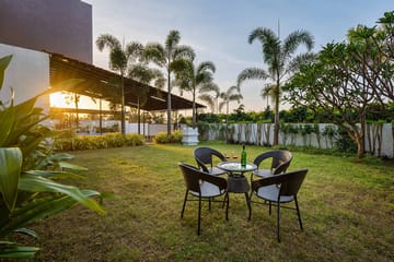 Vinho Sunsets - Image 5