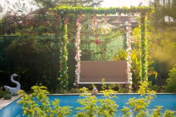 Roselle - Lonavala, Maharashtra - Image 2