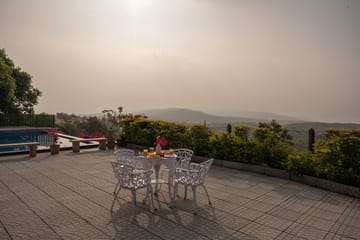 The Treetops - Image 5