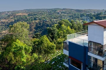 Sunflower Villa - Image 3