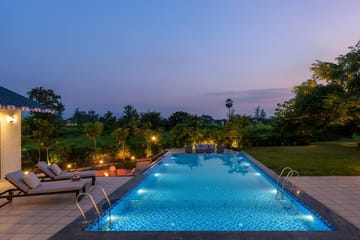 Ridge & Root - Image 3