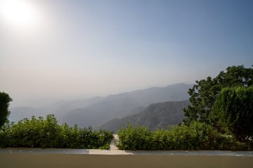Echoes of Ease - Image 3
