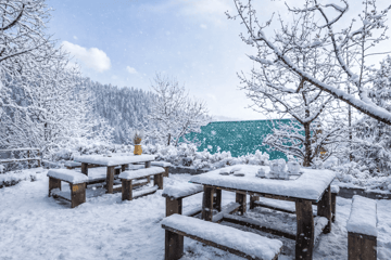 Skylounge | Pet-friendly Traditional 4-Bedroom Retreat With Sauna & Garden Near Haku Temple - Image 4