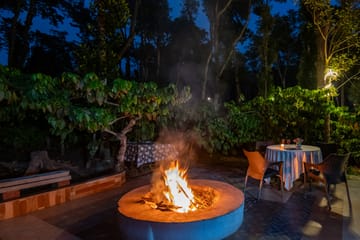 Avocado Cottages Executive Room | Pet-friendly Stay With Private Patio & Common Garden Amid Avocado & Coffee Estate Plantation - Image 4
