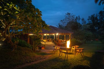 Firefly by the River - Image 5