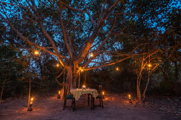 Rustic Respite - Image 4