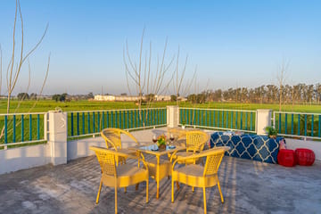 Colour Bloom - Karnal - Image 5