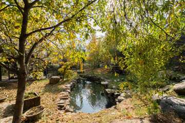 Crystal Creek - Image 4