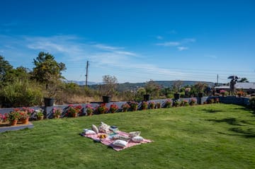 Blueberry - Panchgani, Maharashtra - Image 5