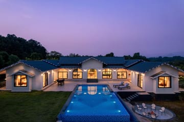 Ridge & Root - Image 2