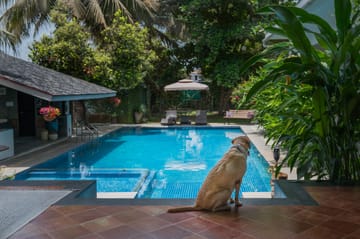 Osaree - Alibaug, Maharashtra - Image 5