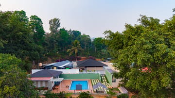 Twisted Tree | 1-Room Suite Pet-Friendly Suite with Shared Pool, Bar & Restaurant - Image 4