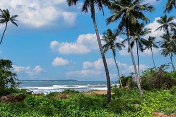 Bay View - Image 3