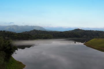 Rivera - Image 4