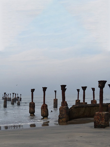 Kozhikode