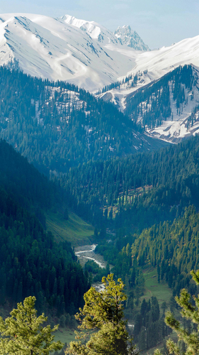 Srinagar