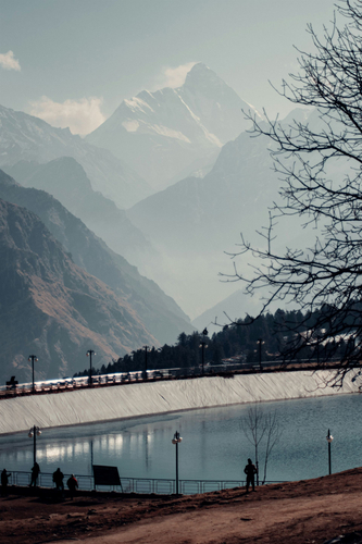 Auli