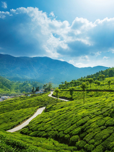 Munnar