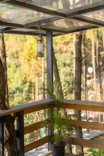 The Woodpecker-Private Cottage