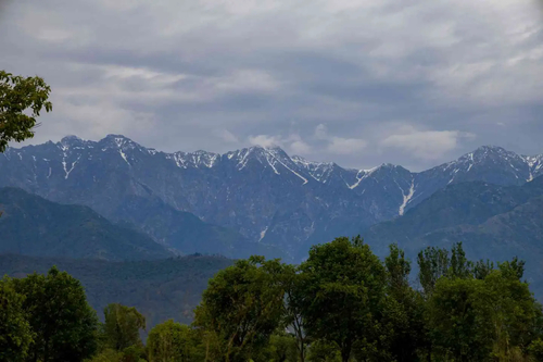 Esh Cottage Moss | Hilltop 2-BHK Retreat with Open-air Jacuzzi, Shared Garden, Pool & Cosy Lounge