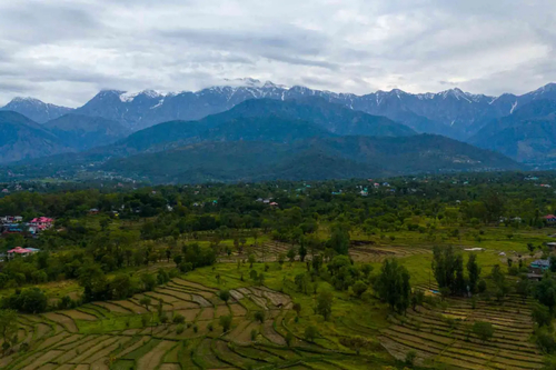 Esh Cottage Moss | Hilltop 2-BHK Retreat with Open-air Jacuzzi, Shared Garden, Pool & Cosy Lounge