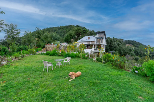 Hydrangea Hill (Garden)