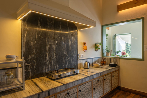 Plush @ Fiddle Leaf Home