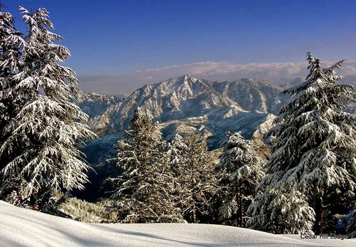 The Cloudberry | Cozy Hill Retreat with Balcony & Heated Interiors