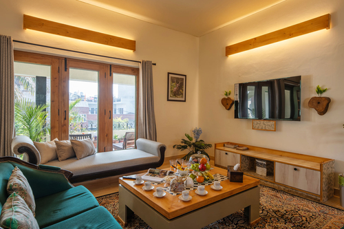 Plush @ Fiddle Leaf Home