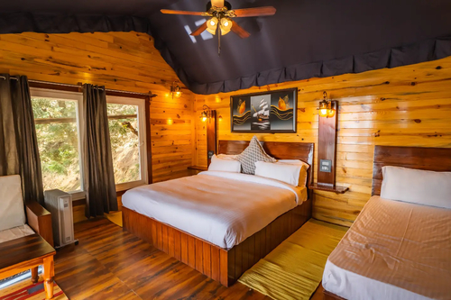 The Barbet - Treehouse