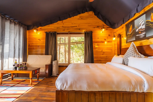 The Barbet - Treehouse