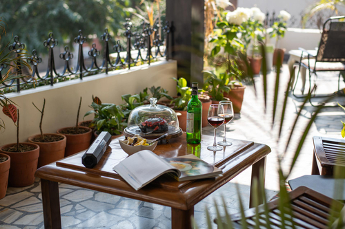 Plush @ Fiddle Leaf Home