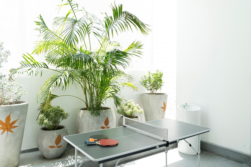 Reflection by The Woods