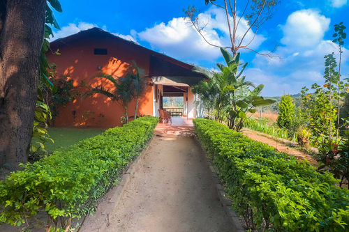 Firefly by the River