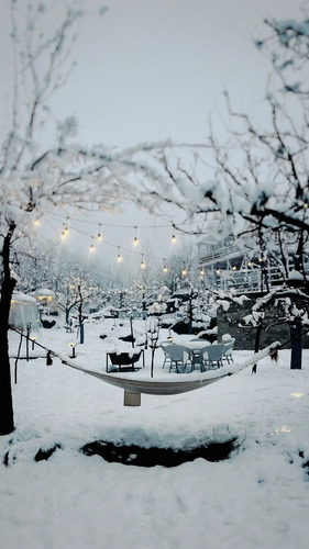 Imperial glamping dome 4