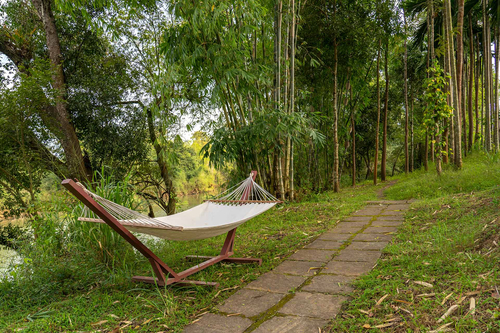 Firefly by the River